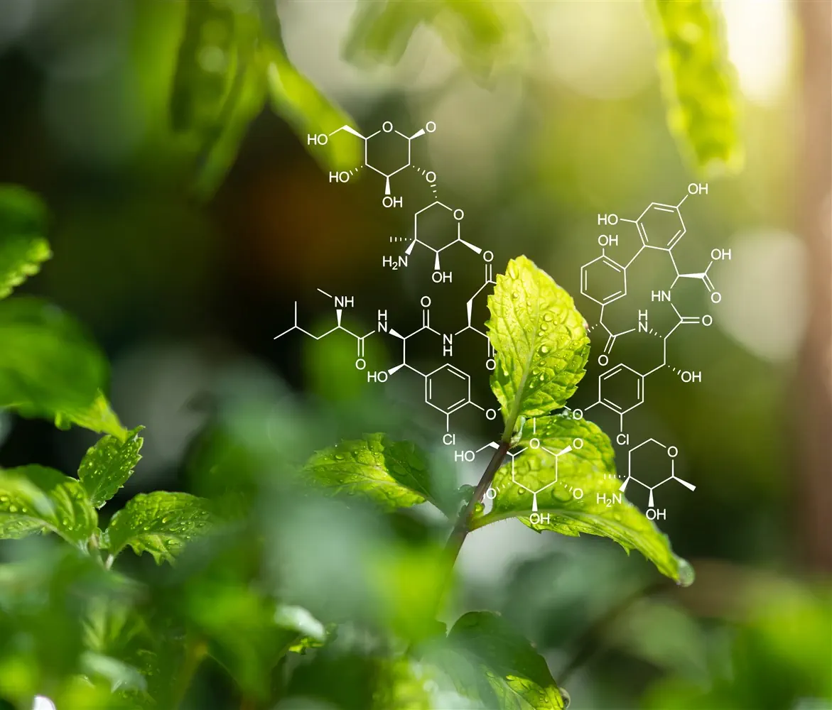 Supercritical CO2 extraction